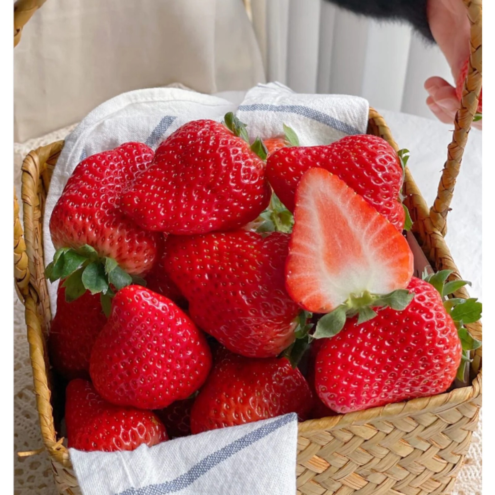 200 pcs Cream Strawberry Seeds – Hardy Perennial Herb, Fall & Spring Planting.