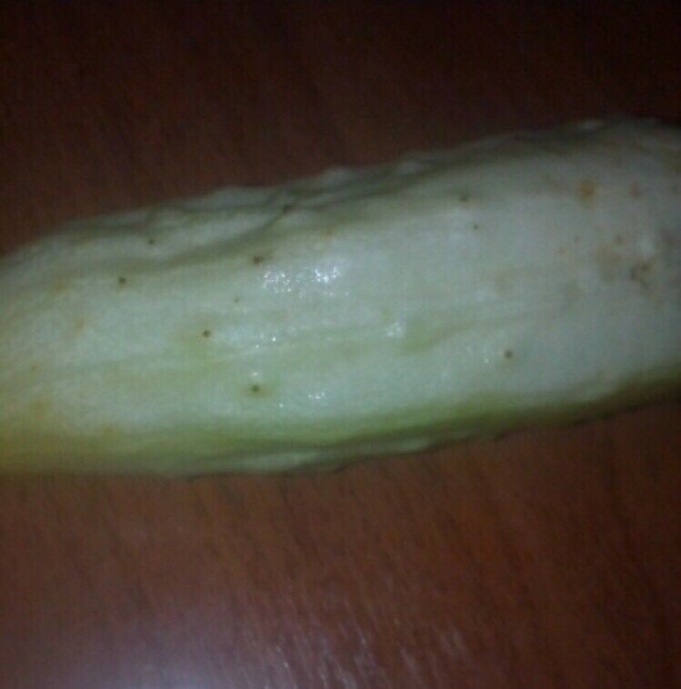 20pcs White Cucumber Seeds Cucumis Sativus Vegetable Fruit Home Garden Plant