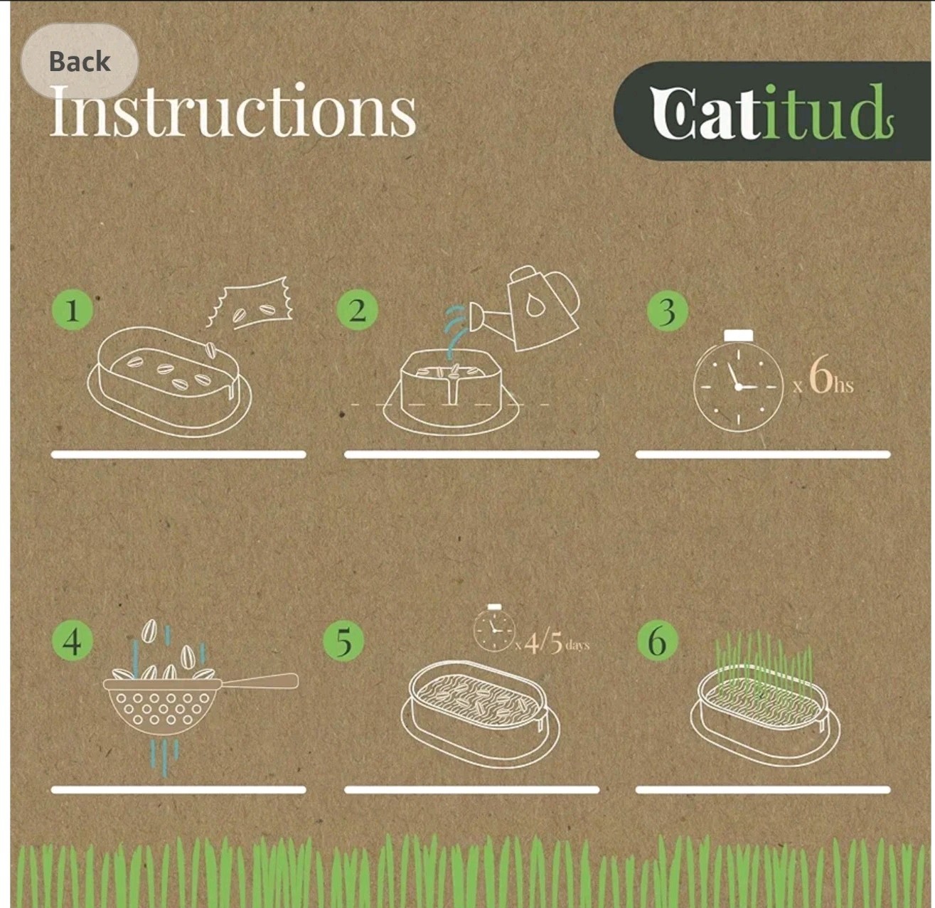 CATITUD cat Grass KIT Includes Pot with Non-Slip Base and 2 Packets of Seeds