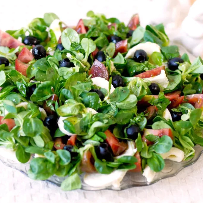 Dutch Corn Salad Seeds (Mache or Lamb’s Lettuce) | Spinach Fall Garden Seed 2024