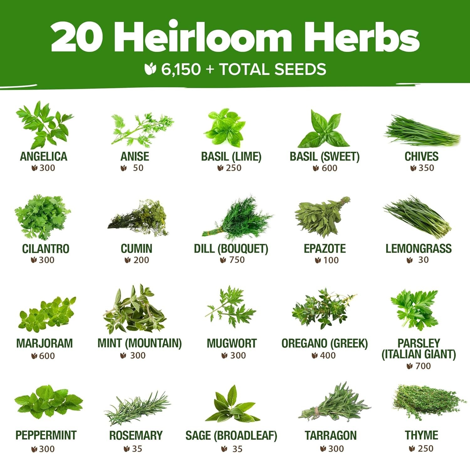 20 Culinary & Medicinal Herb Seeds – Non-GMO & Hydrophonic Friendly Variety Pack