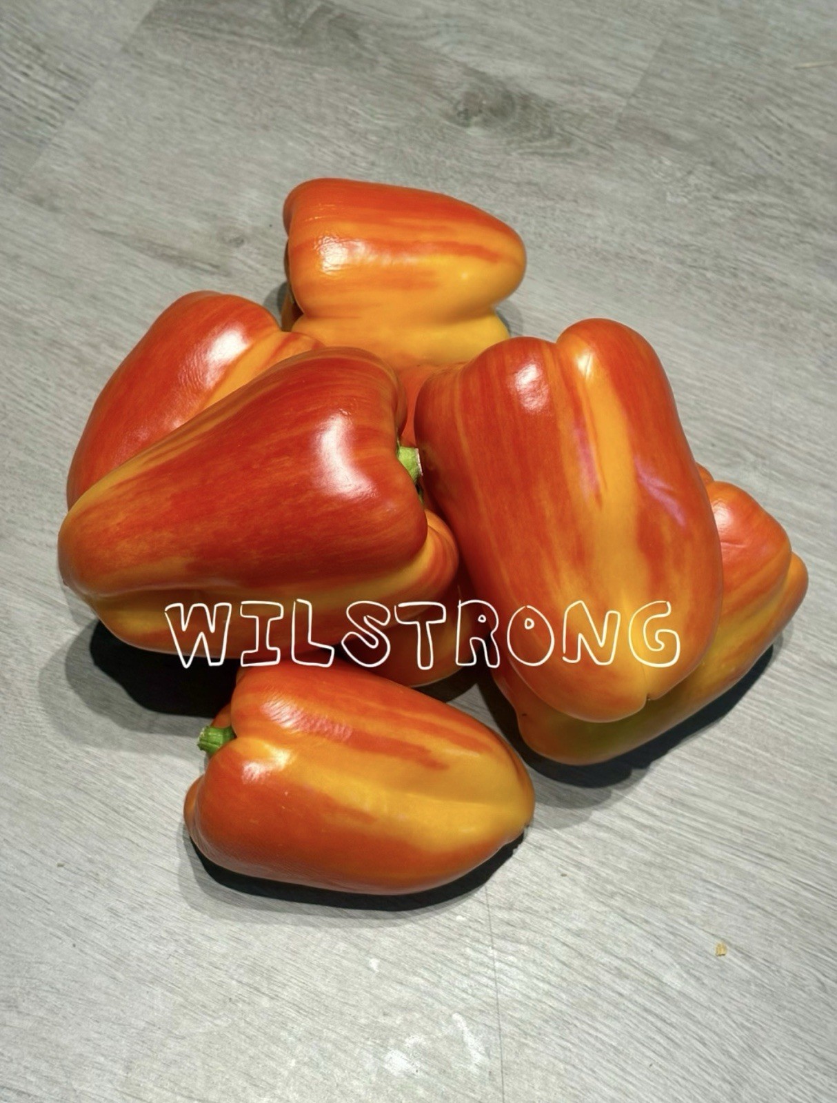 ALOHA BELL PEPPER SEEDS! 100+ SEEDS