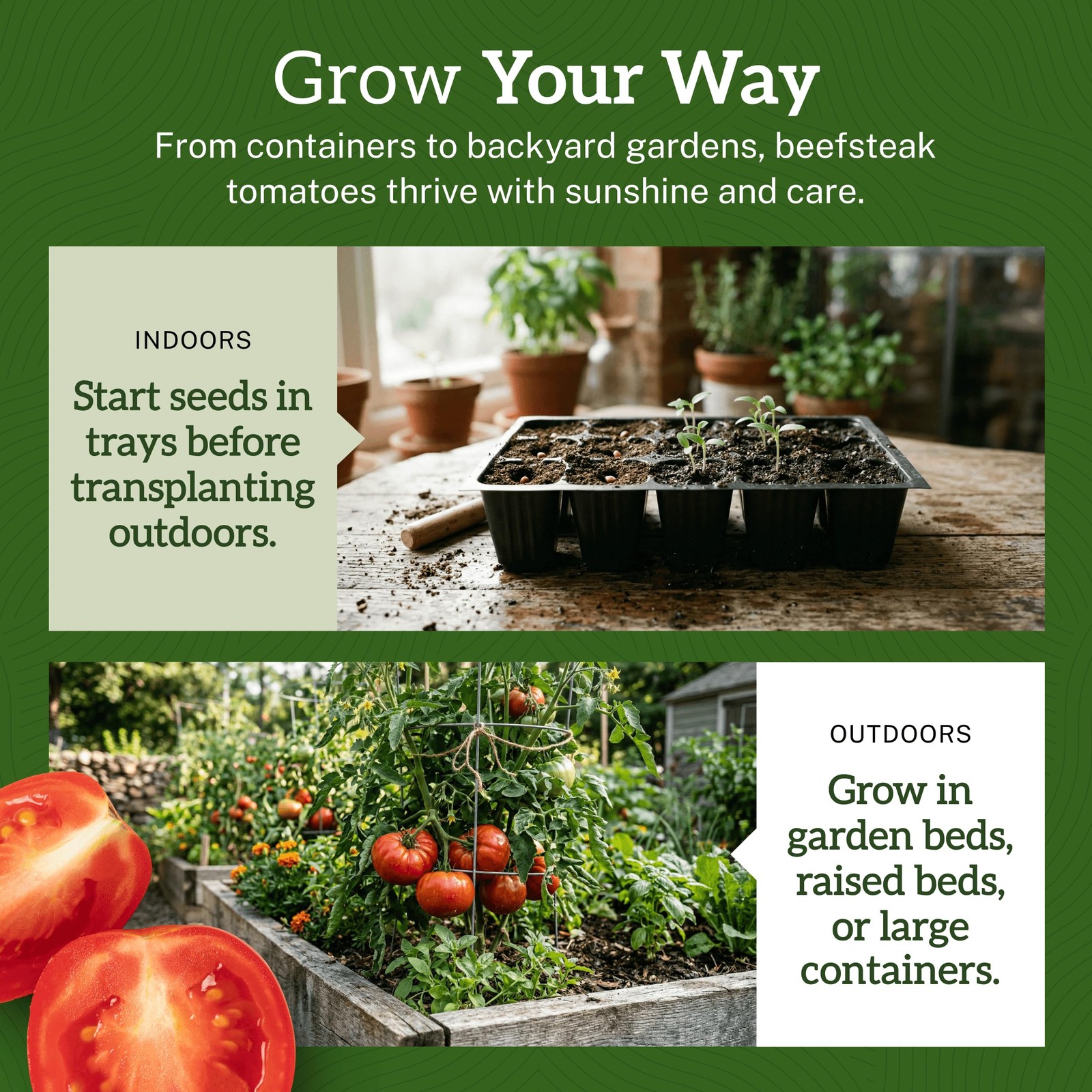 TKE Farms & Gardens – Beefsteak Tomato Seeds for Planting, 75+ Heirloom Red