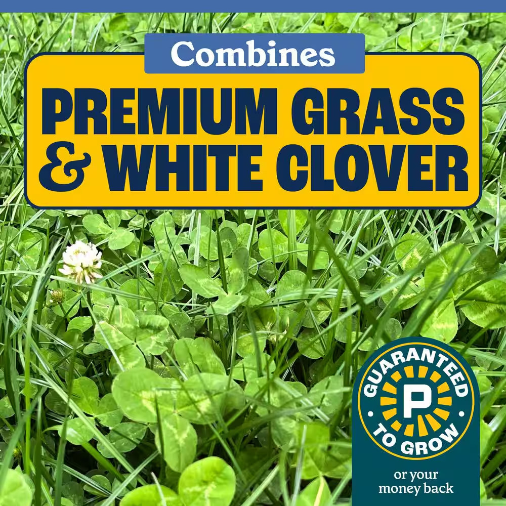 7 Lbs. Clover and Grass Seed Mix