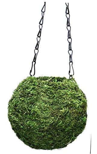 SuperMoss (29348) Kokedama Planter, 6″, Fresh Green