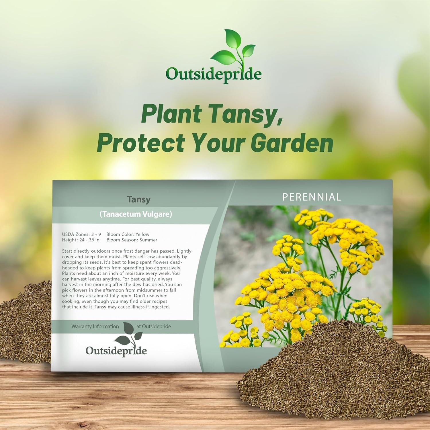 5000 Seeds Tansy Seeds – Golden Buttons Herb Seed
