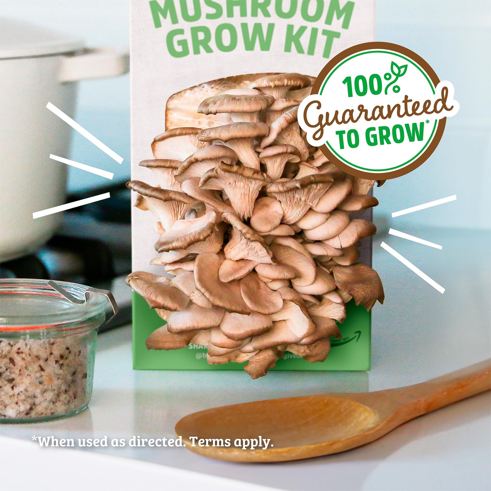 Organic Mushroom Grow Kit Indoor Gourmet Mushrooms All Year Round Easy to Use