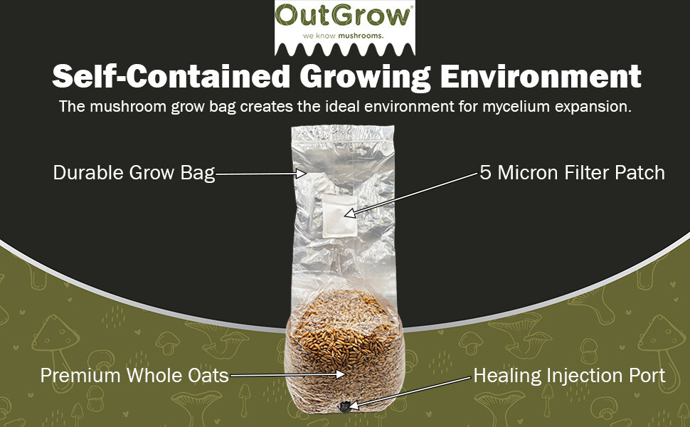 Whole Oats Mushroom Substrate