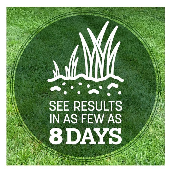 [HOT SALE] Pennington Kentucky 31 Tall Fescue Grass Seed 7 lb Bag (2 Pack) Lawn