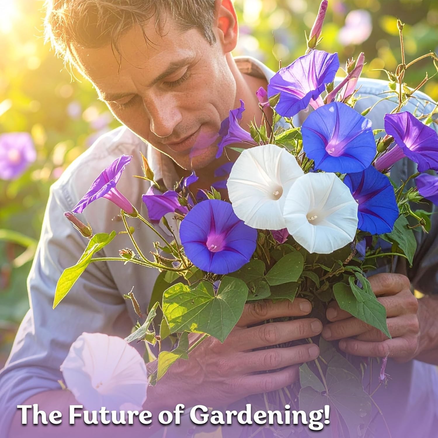 Organic 50 Count Morning Glory Seeds – Climbing Vines for Pollinator Gardens