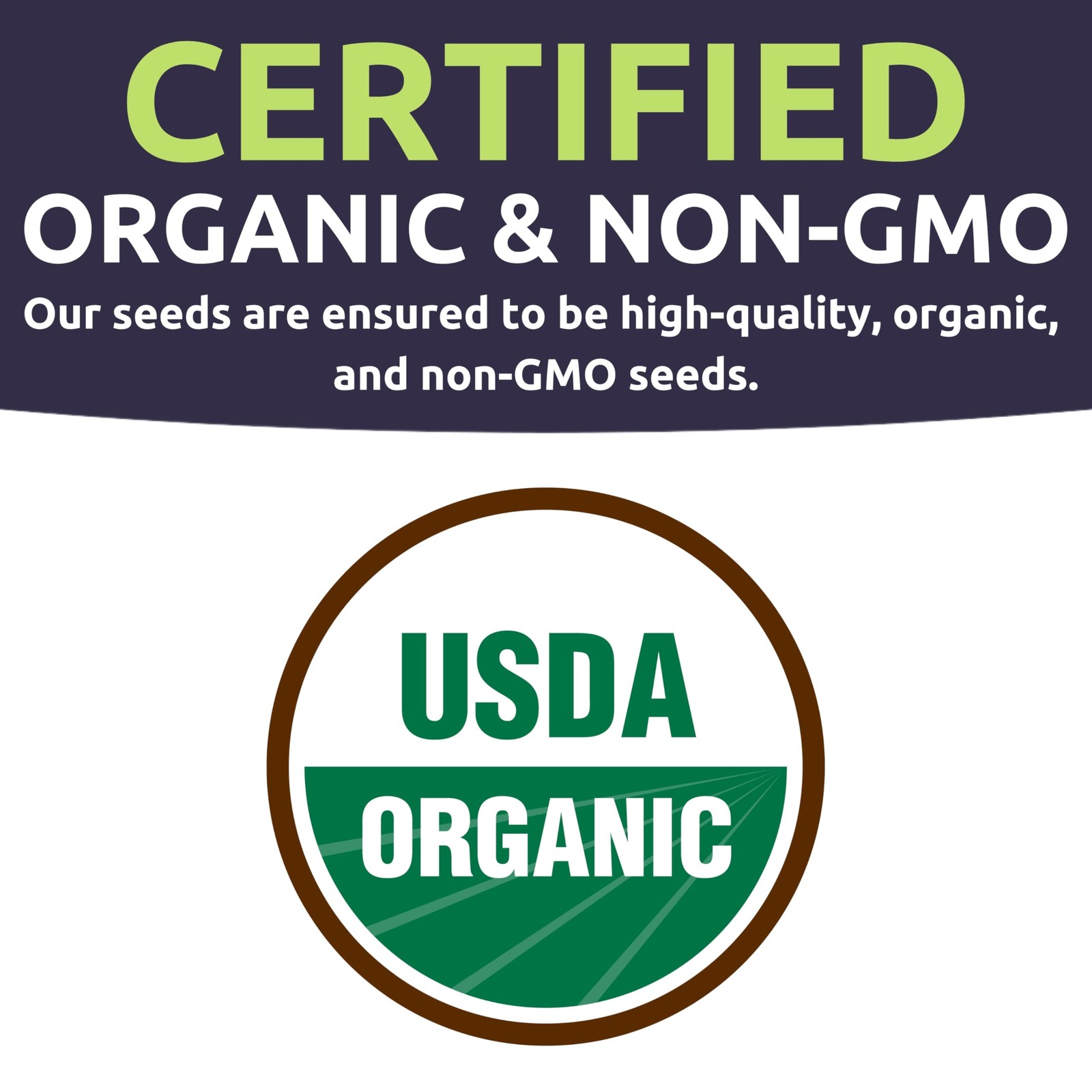 Organic Mustard Green Seeds Variety Pack – 4 Individual variety pack,