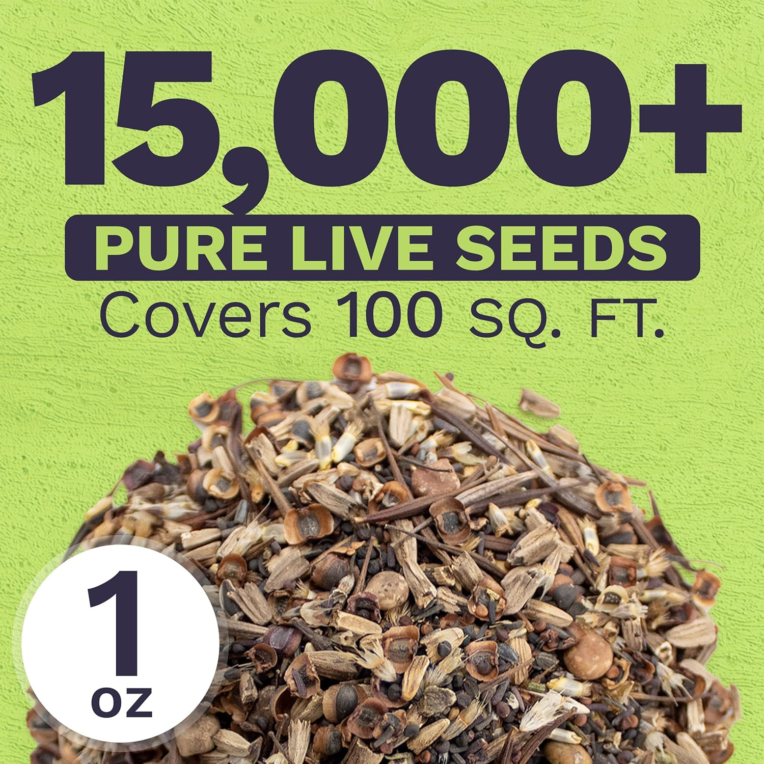 Texas Oklahoma Wildflower Seeds Mixture – Bulk 1 Ounce Packet – over 15,000