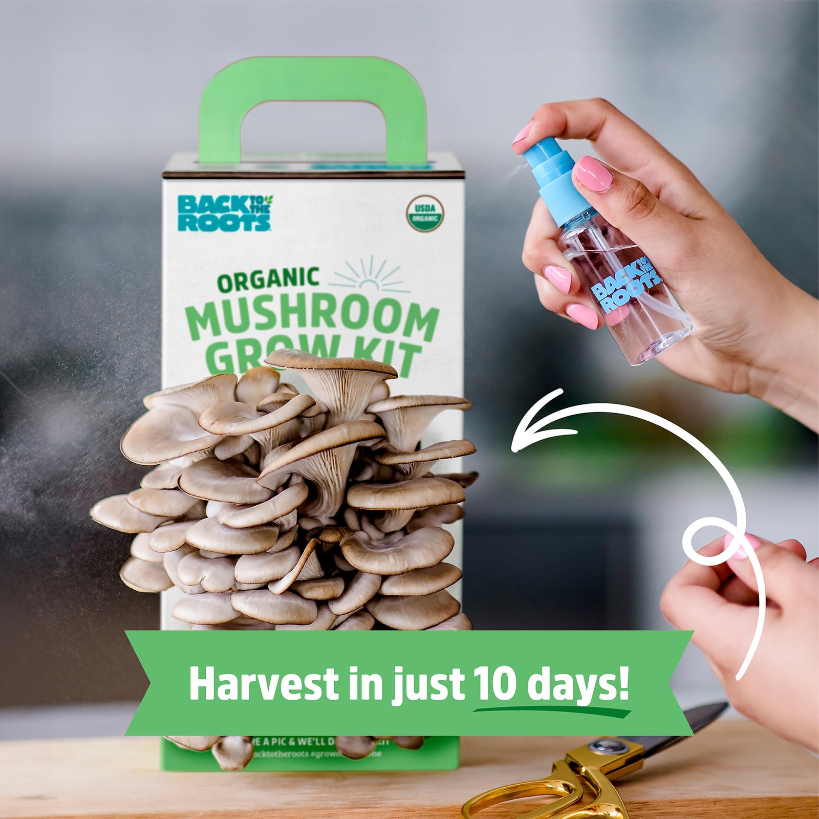 Organic Mushroom Grow Kit Indoor Gourmet Mushrooms All Year Round Easy to Use