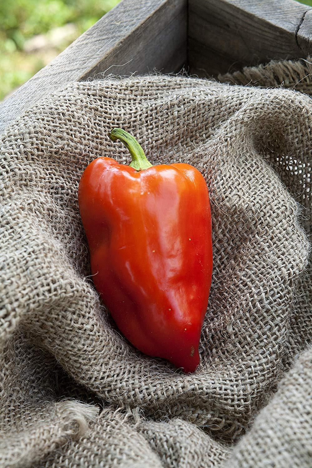 Feher Ozon Feherozon Hungarian Sweet Paprika Pepper Premium Seed Packet + More