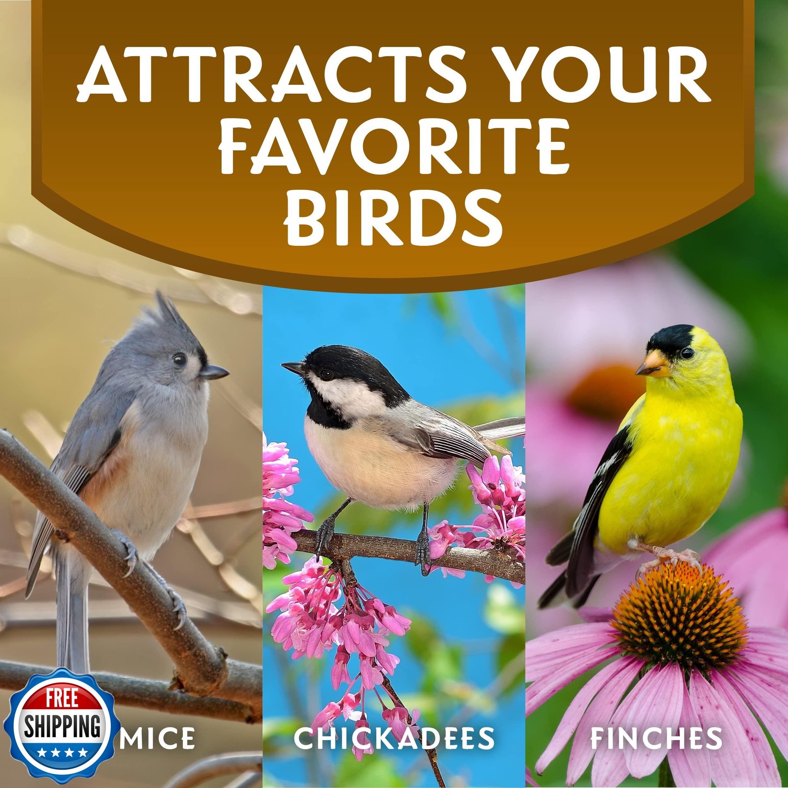 Morning Song Sunflower Hearts and Chips Wild Bird Food, No Mess Sunflower See