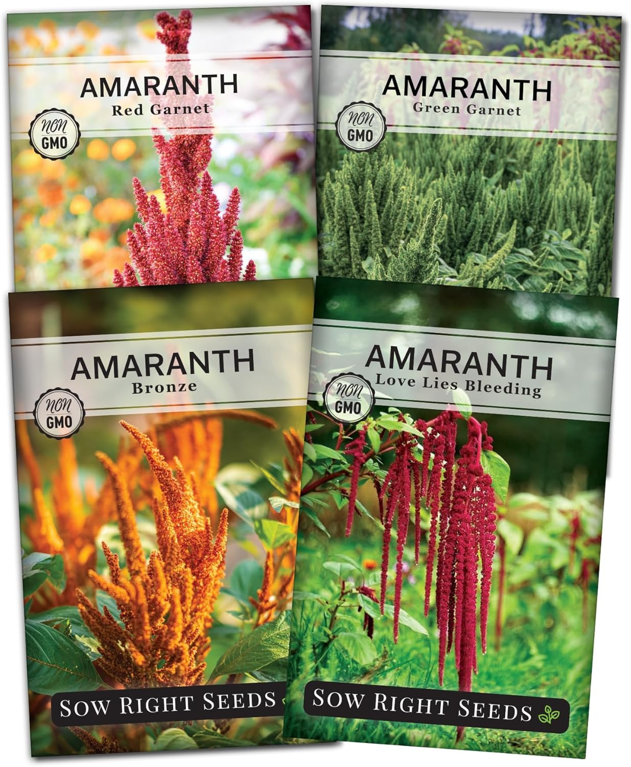 – Amaranth Seed Collection for Planting – Non-Gmo Heirloom Varieties to Grow …