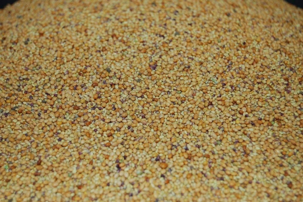 Tri-Clover by Eretz – Three Part Blend of Clovers 5lb, Green,Red,White