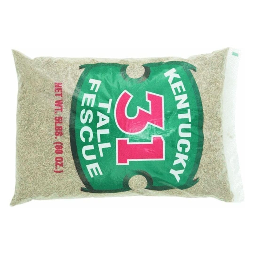 Barenbrug Tall Fescue Grass Seed 5 lb. 5 Lb., Green