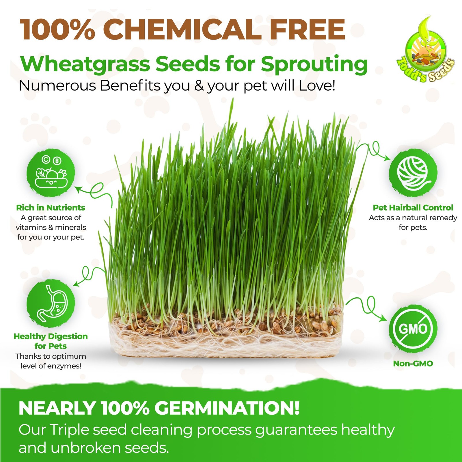 Wheatgrass Seeds; Hard Red Winter Wheat, Non-GMO, Chemical Free, High Germina…