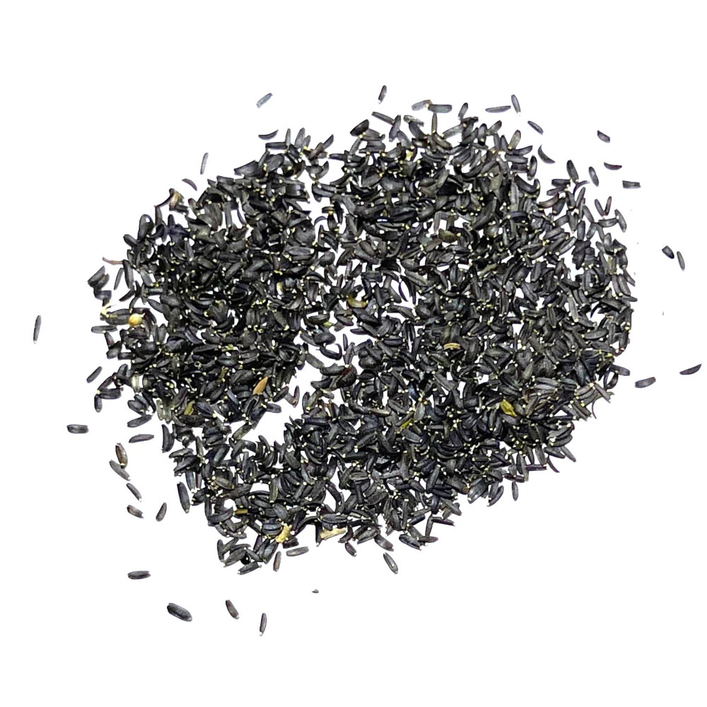 Coreopsis Plains Seeds For Planting (Coreopsis tinctoria)