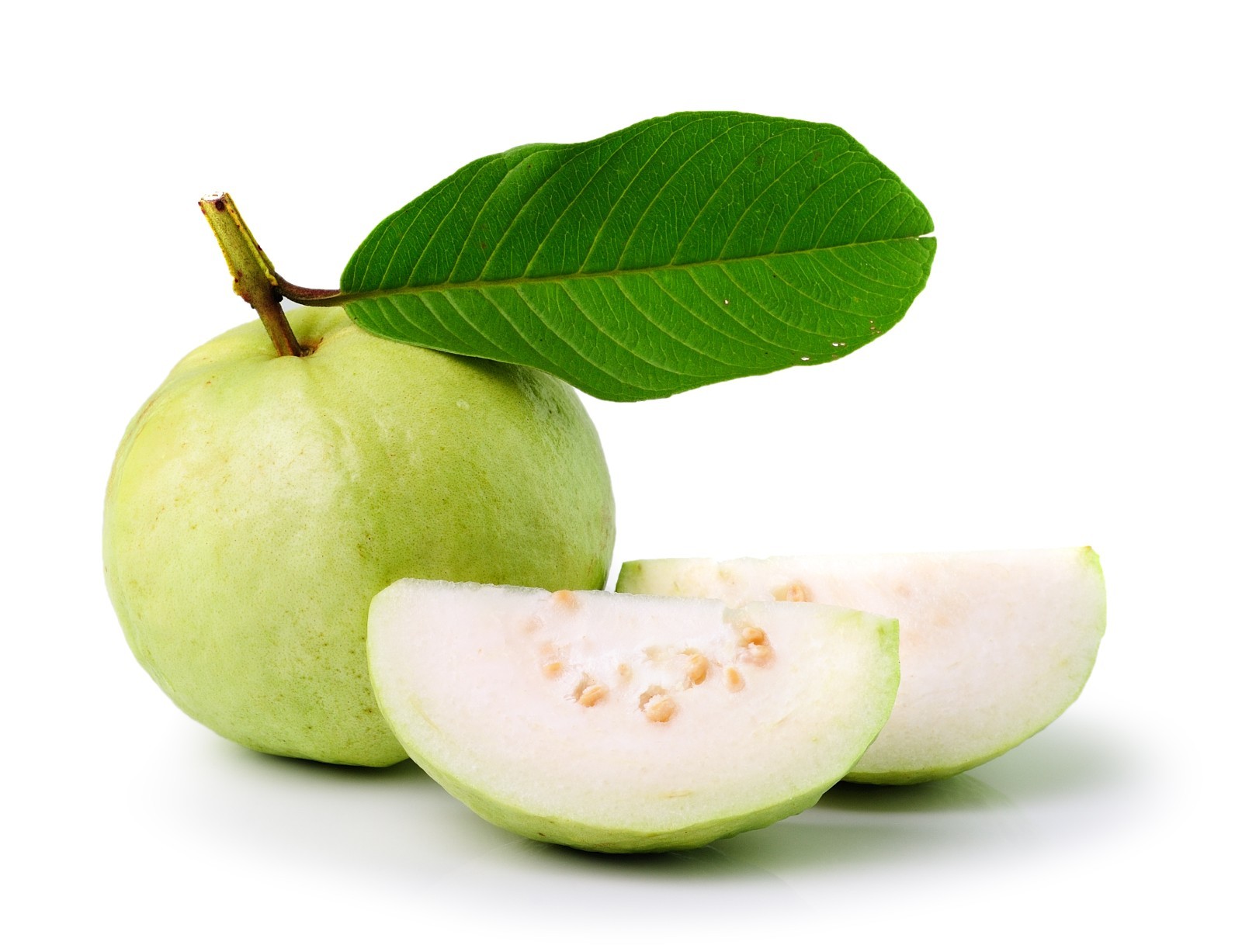 Peruvian White Guava Tree – Psidium Guajava – White Guava Plant