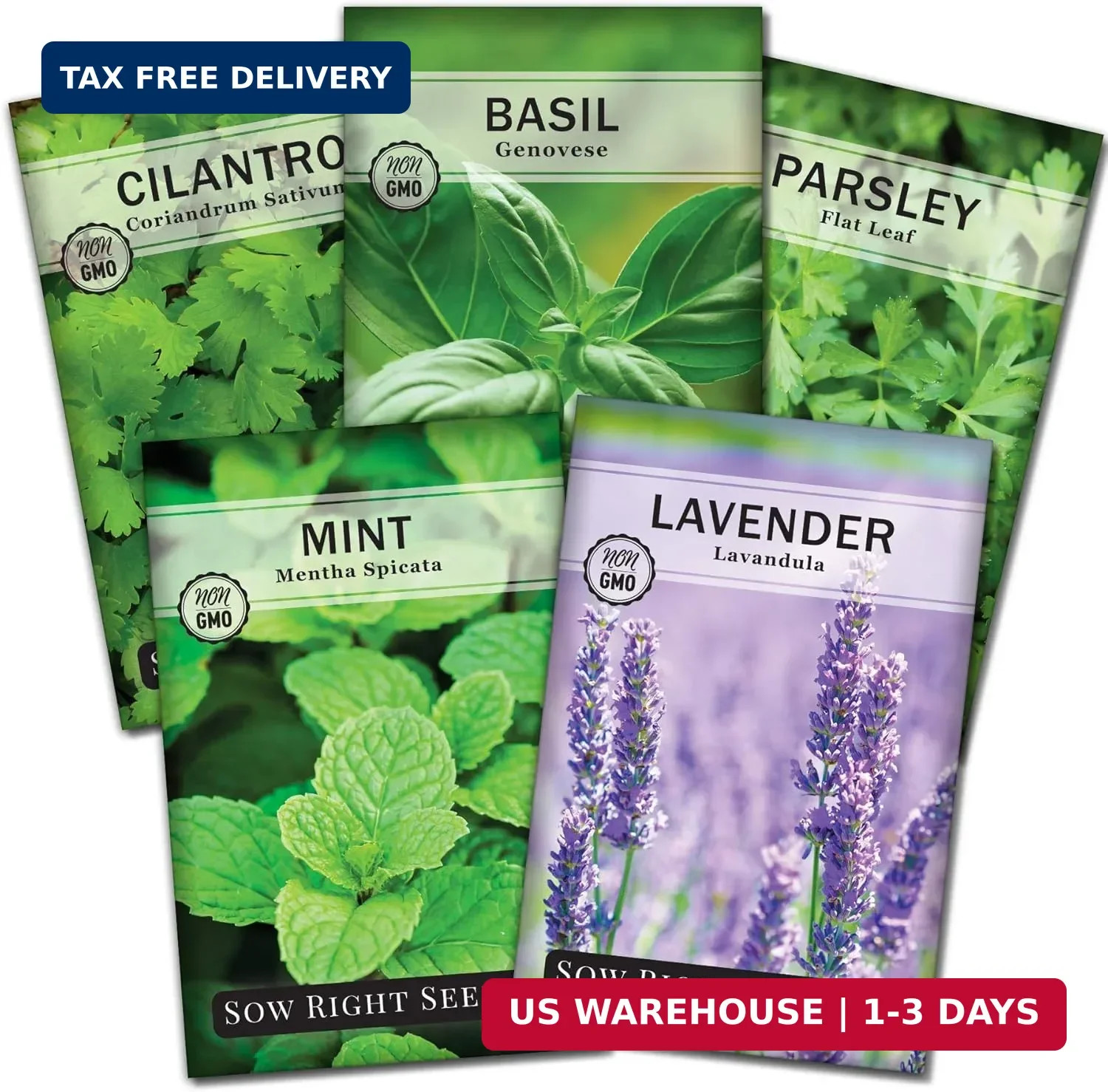 Sow Right Seeds – Most Popular Herb Seed Collection for Planting – Mint, Lavende
