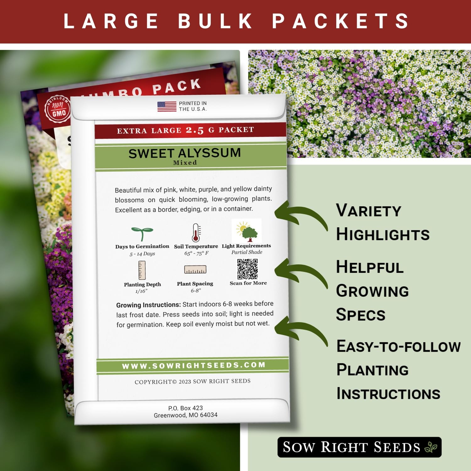 Bulk Sweet Alyssum Mix Seeds for Planting NonGMO Heirloom Jumbo Pack Annua…