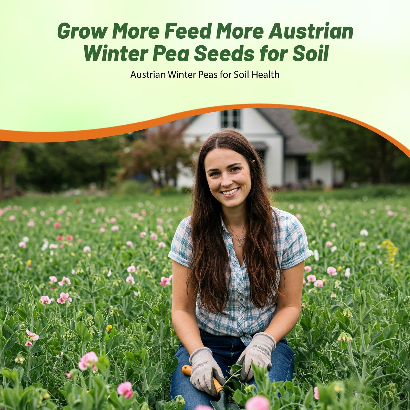 10 LBS Austrian Winter Peas Cover Crop Seeds