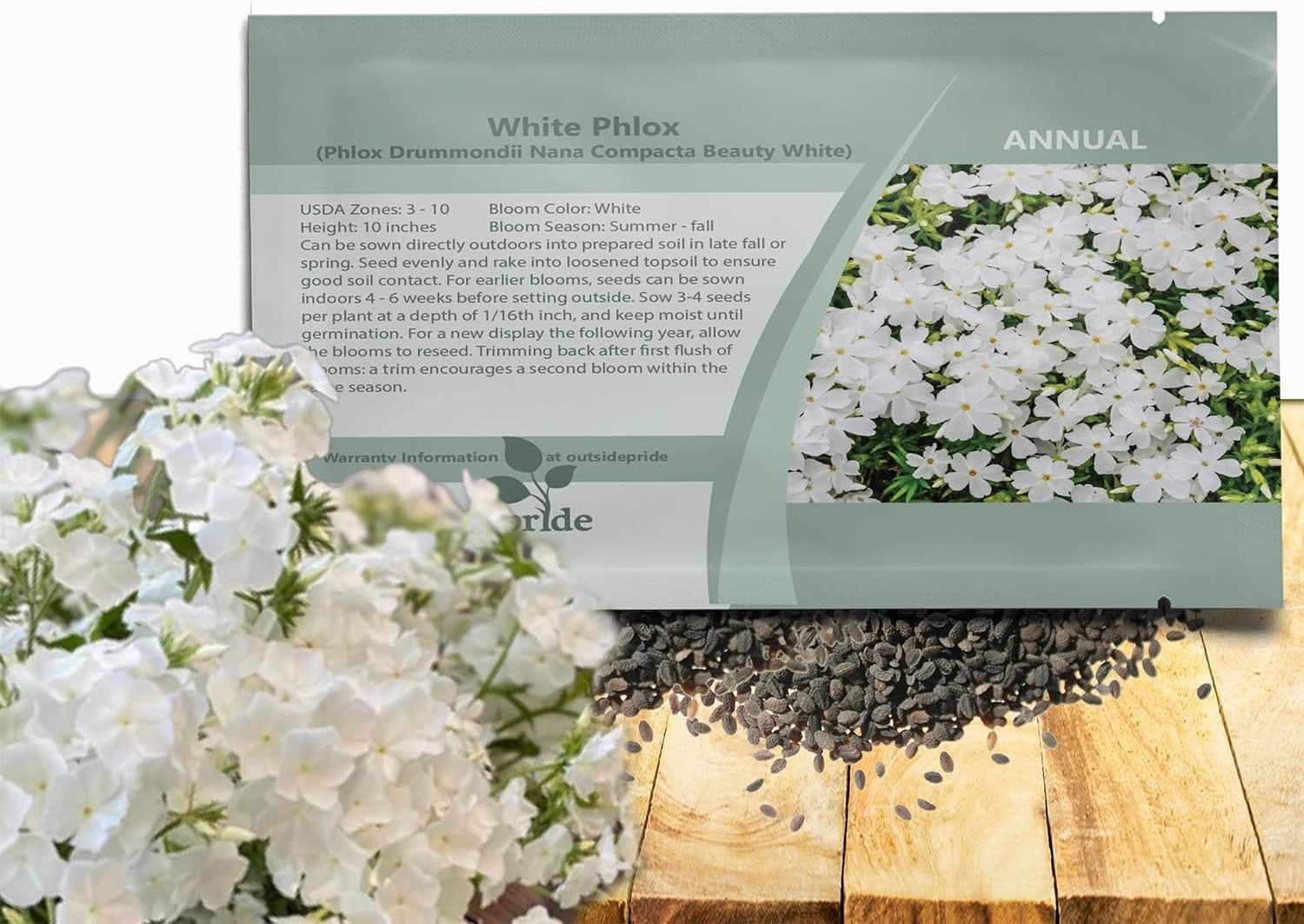Vibrant White Phlox Seeds – Long Blooming, Self-Seeding, Pollinator-Friendly