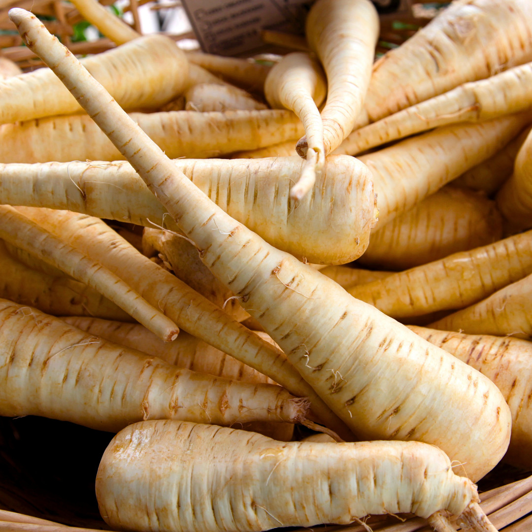 Fresh Premium All American Parsnip Seeds | Heirloom Non-GMO | Vegetable Seeds