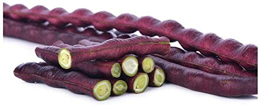 25 Chinese Red Noodle-Yard Long Bean Seeds, NON-GMO, Used often in Asian cooking