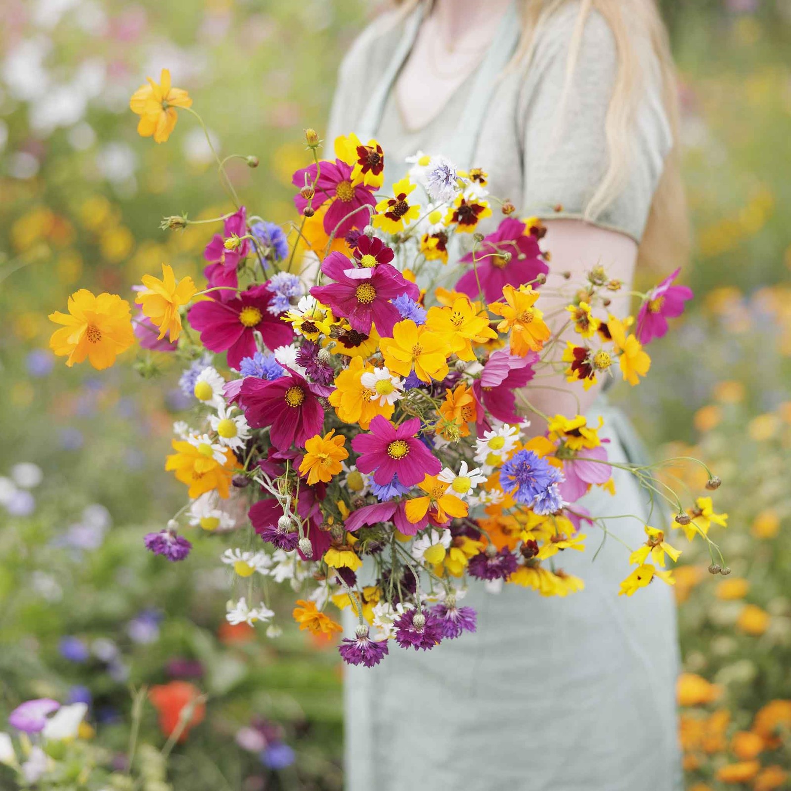 Midwest Wildflower Seed Mix 120,000+ Seeds for Pollinators, Plant in