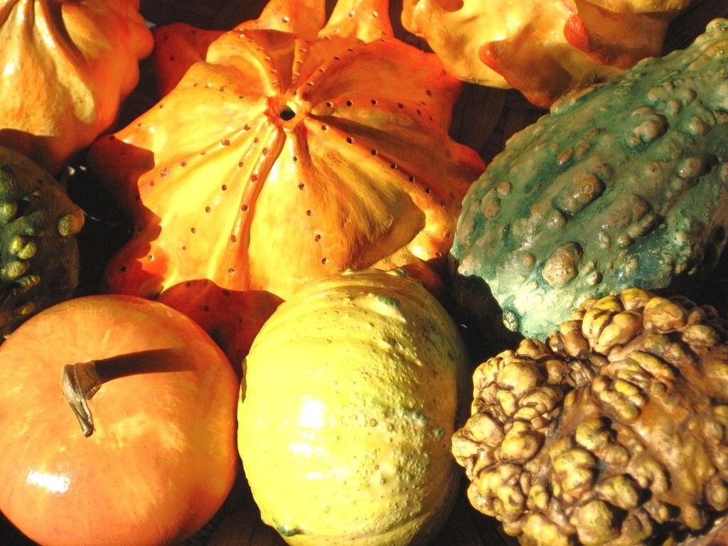 Large Mix Ornamental Gourd Seeds |Decorative Fall Autumn Winter Squash Seed 2025