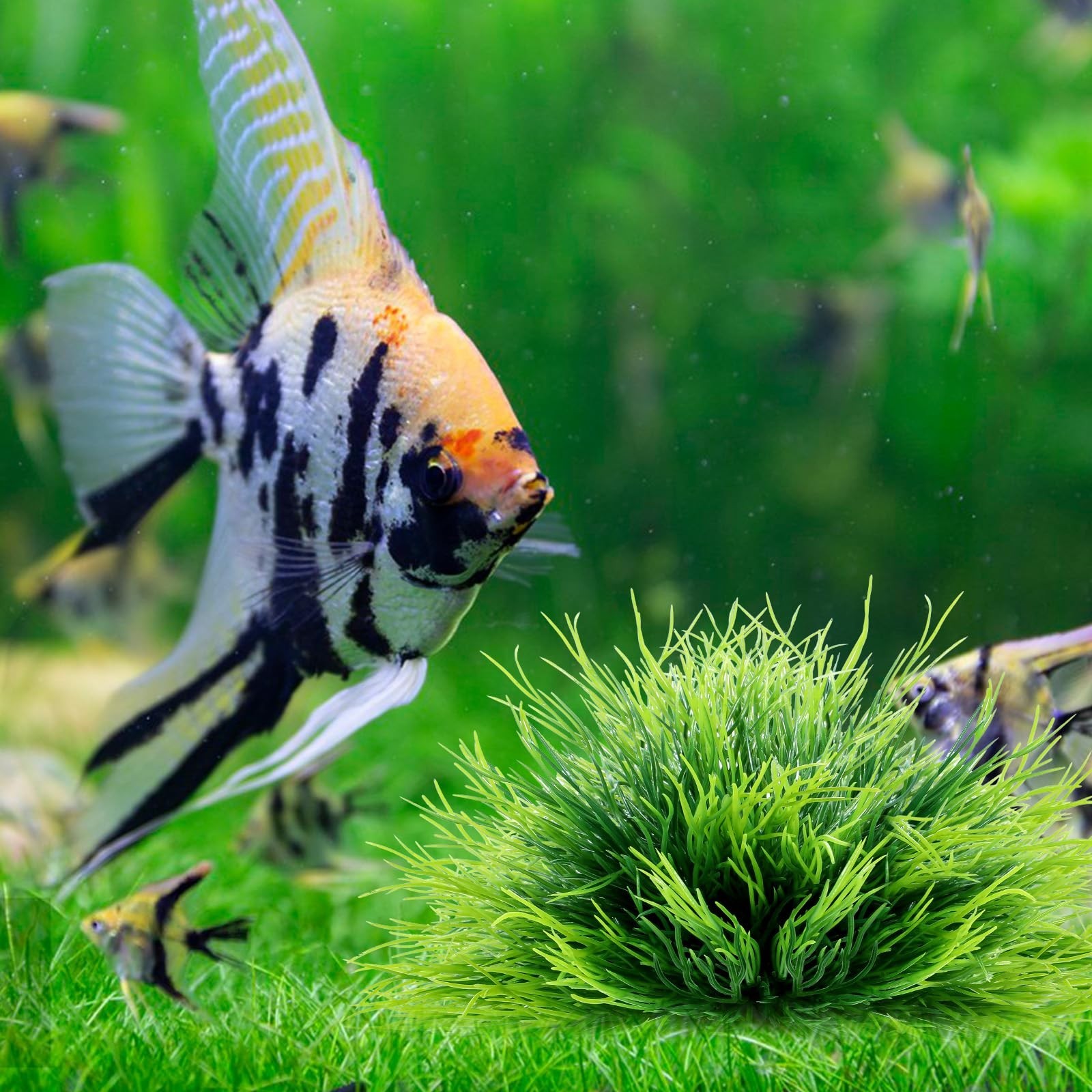 2pcs Aquarium Plants Decorations Artificial Fish Tank Plants Plastic Fish Tan…