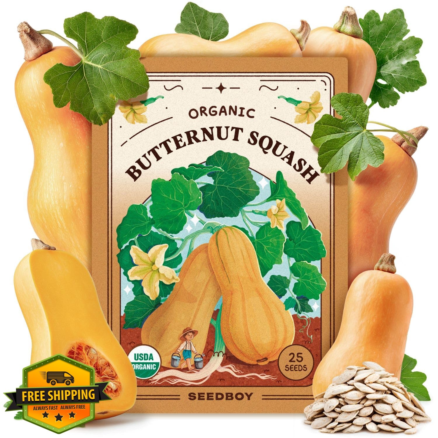 Seedboy Butternut Squash Organic Seeds