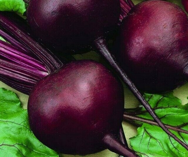 BEET SEEDS 100+ DETROIT DARK RED survival GARDEN healthy VEGETABLE FREE SHIPPING