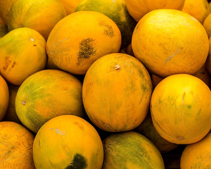 25 KOLKHOZNITSA MELON Collective Farm Woman Cucumis Melo Russian Fruit Seeds