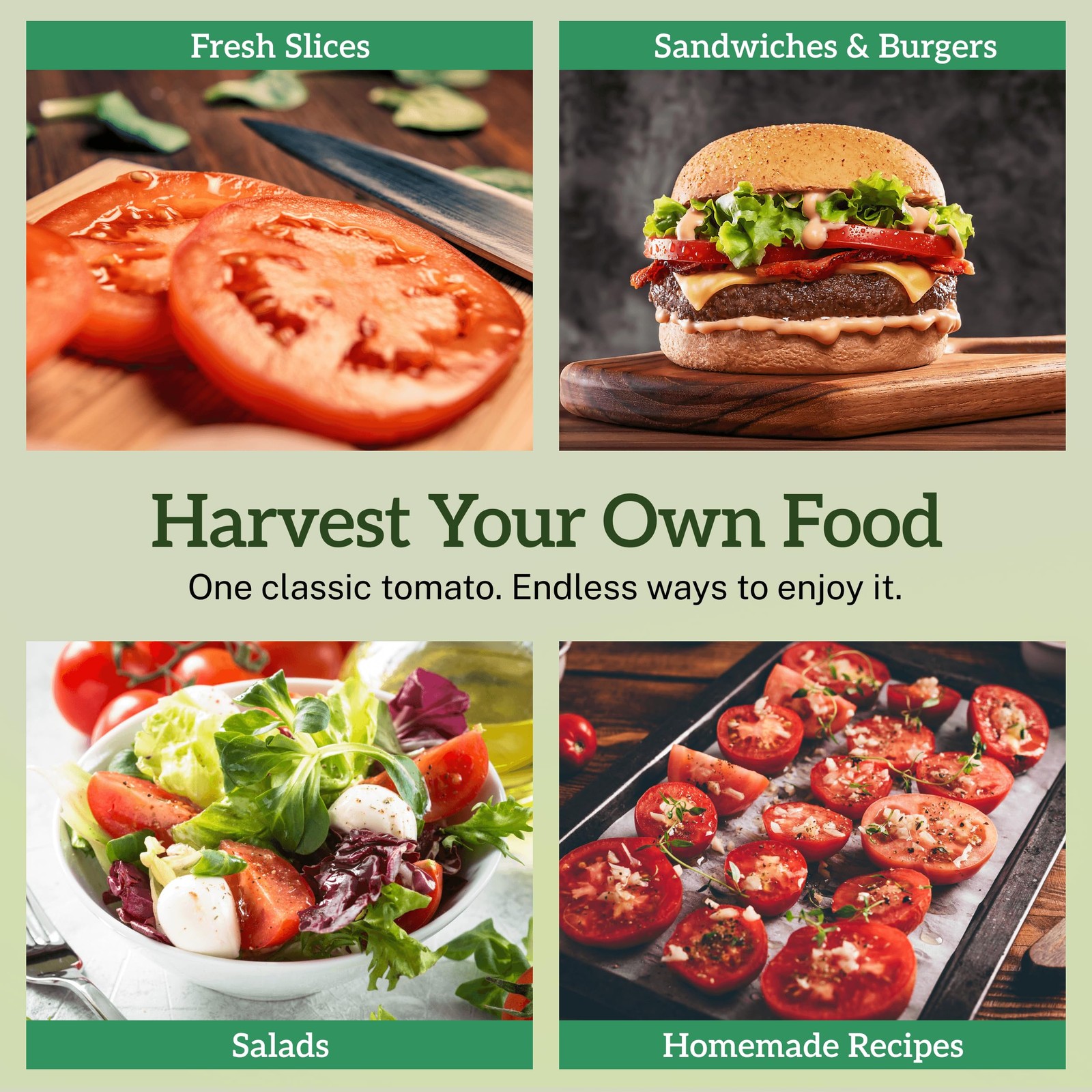 TKE Farms & Gardens – Beefsteak Tomato Seeds for Planting, 75+ Heirloom Red