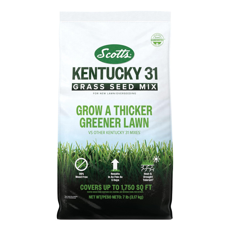 Scotts Kentucky 31 Grass Seed Mix For Lawns Or Overseeding Grows Thicker And