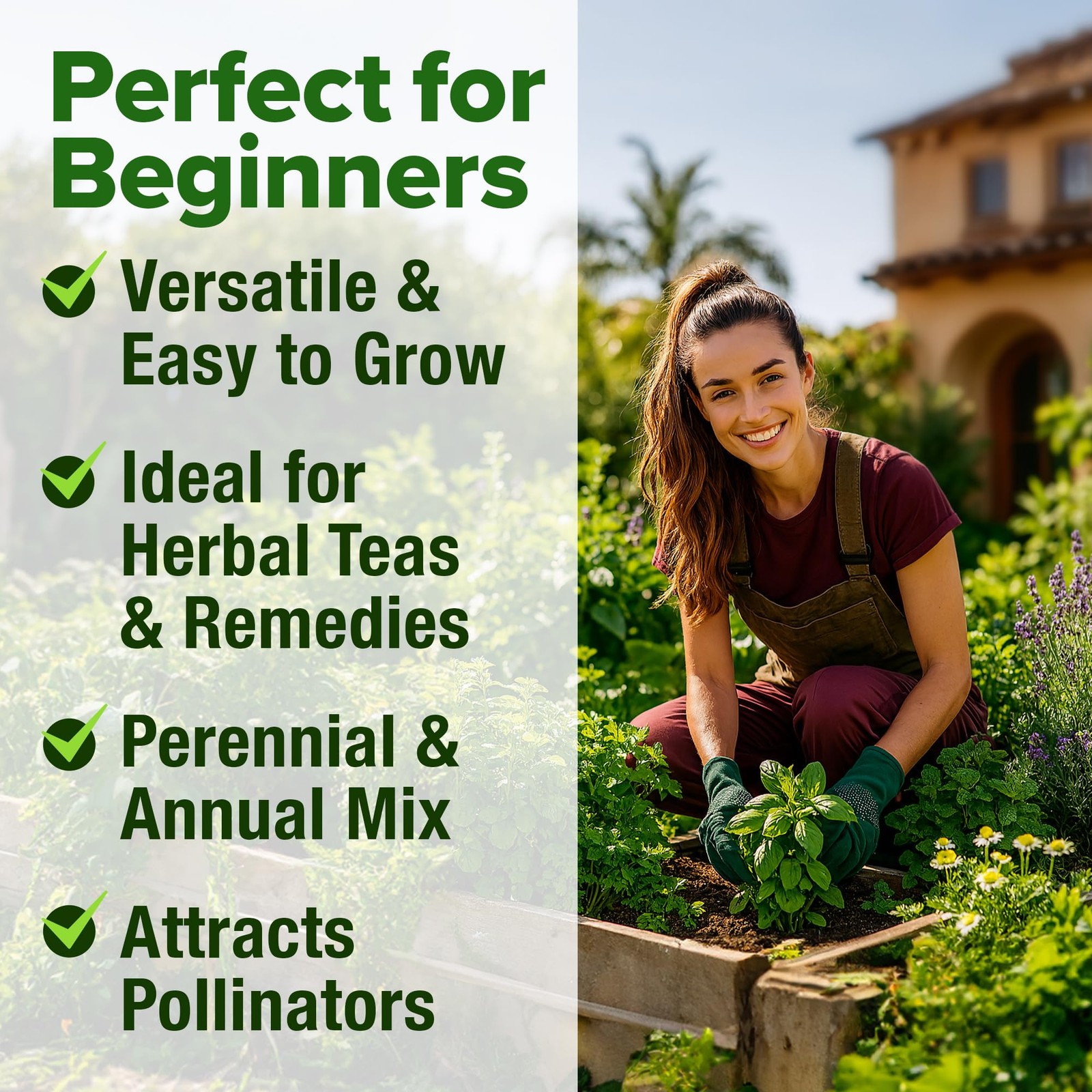 Herb Seeds 32 Medicinal Herbs and Tea Variety Pack – Annual & Perennial Herb …