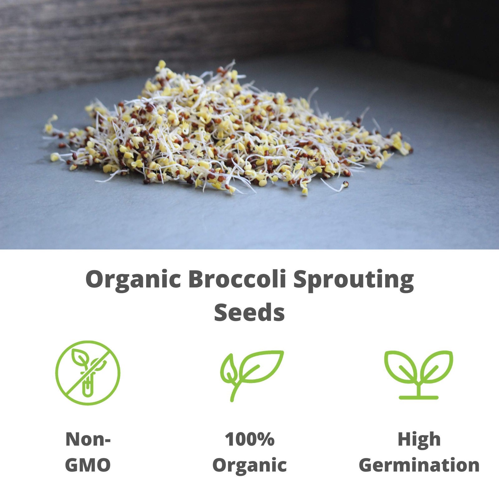 Organic Broccoli Sprouting Seeds NonGMO, 2.5 lb Resealable Bag, Rich in