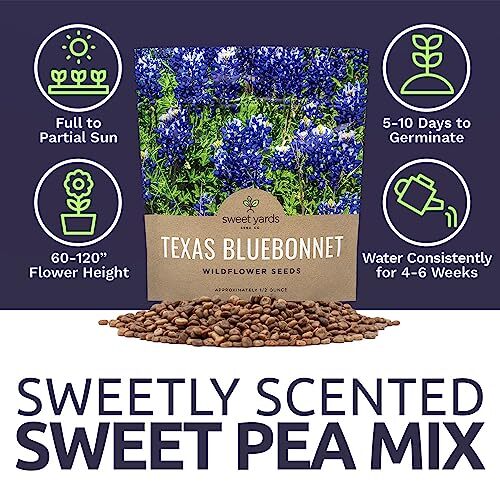 Texas Bluebonnet Wildflower Seeds – Bulk 1/2 Ounce Packet – Over 500 Native S…