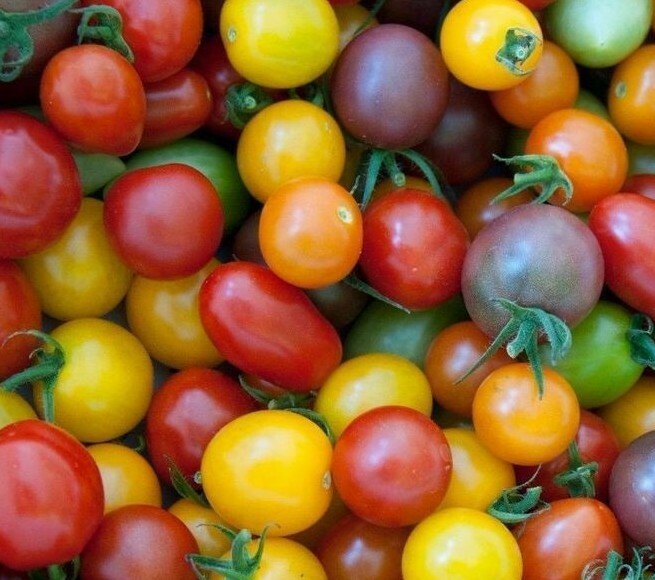 RAINBOW CHERRY TOMATO SEEDS MIX 50+ GARDEN vegetables SAUCE salad FREE SHIPPING