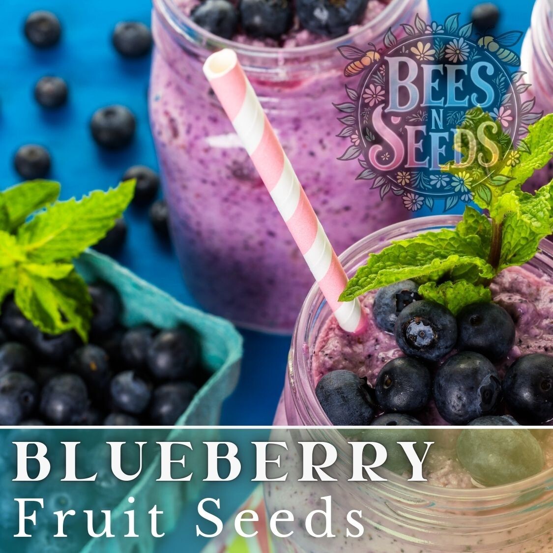 Blueberry Seeds 200, 750 or 3,200 Seeds Fruit Seeds, Non GMO, Bulk Seeds, Berry