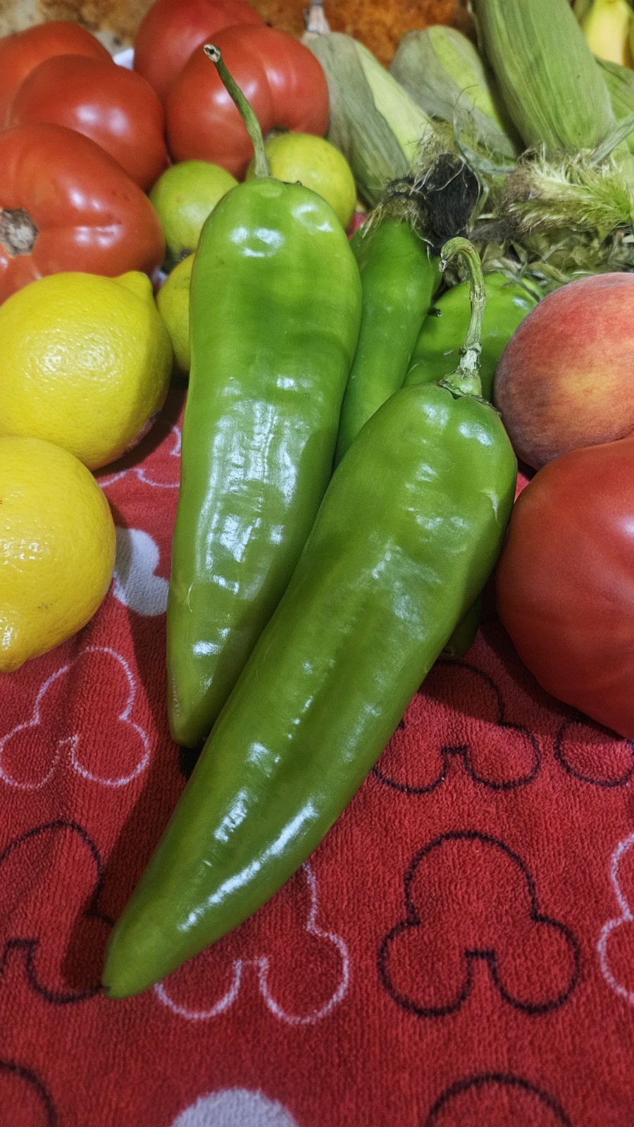Nuevo Mexico Chili Pepper Seeds (15) / ORGANIC / FLORIDA GROWN / MEXICAN CUISINE