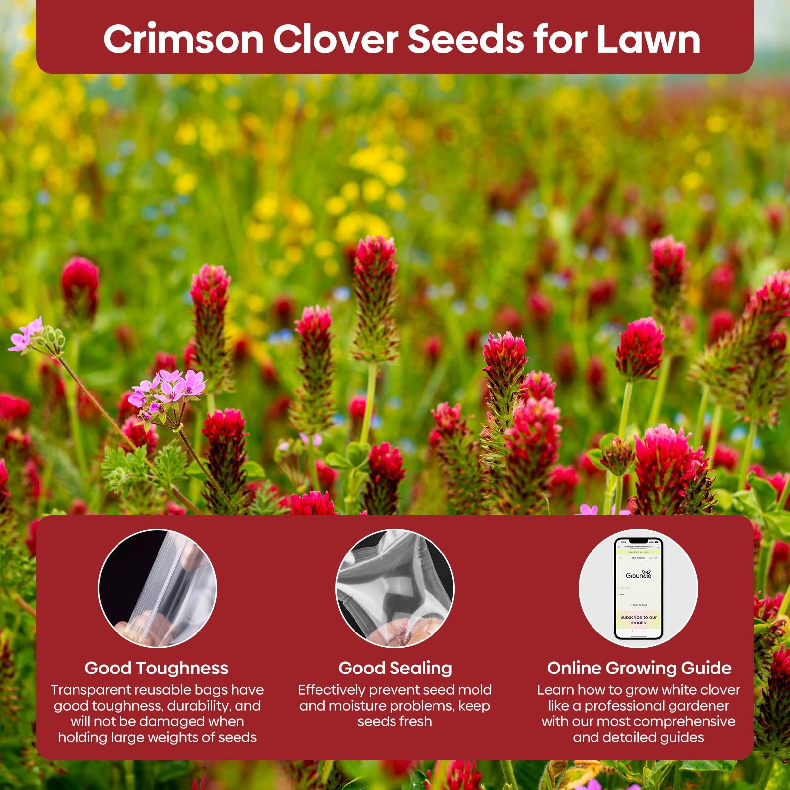 Crimson Clover Seeds 2 Lbs Annual Red For Lawn Garden Pasture Attracts Pollinato