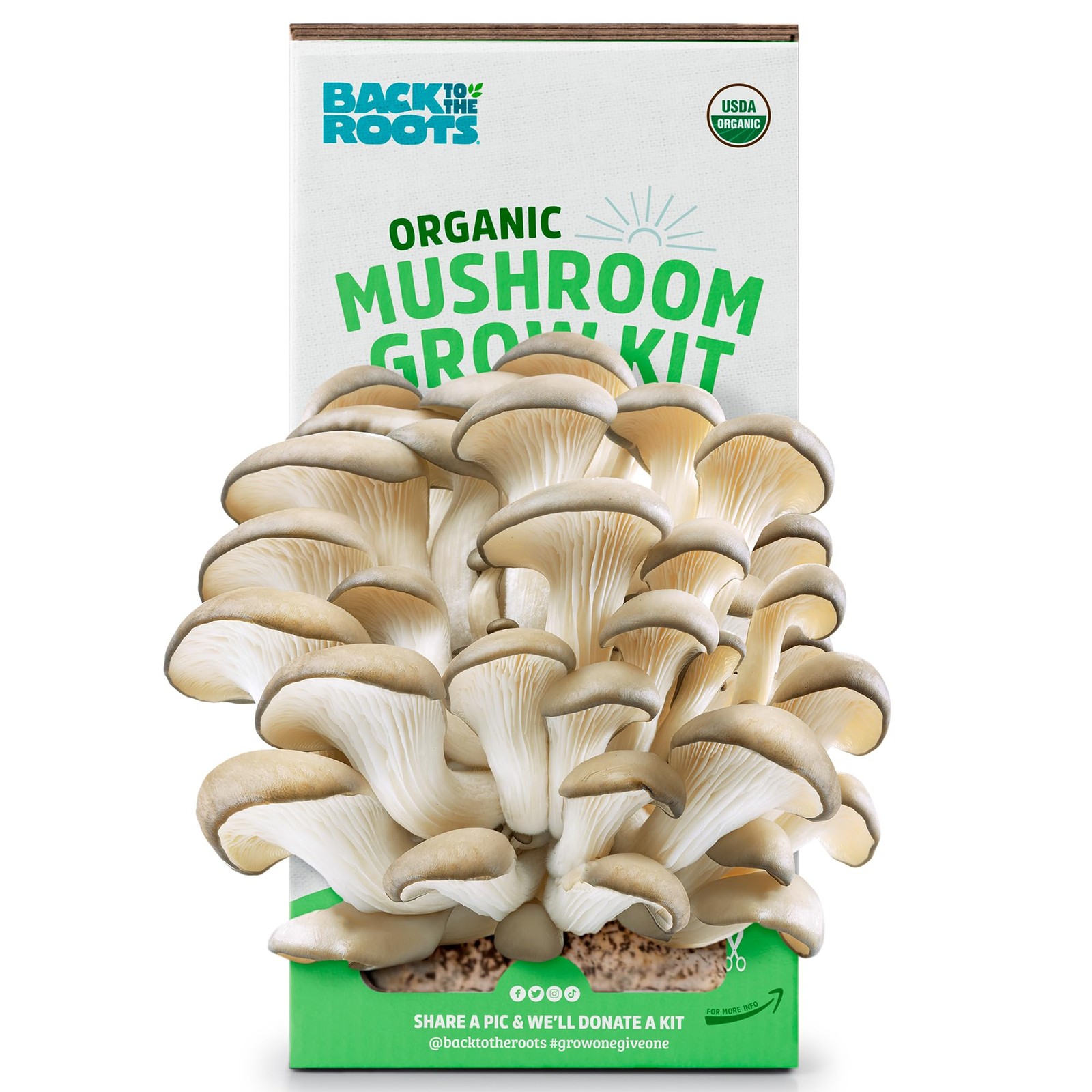 Organic Mushroom Grow Kit Indoor Gourmet Mushrooms All Year Round Easy to Use