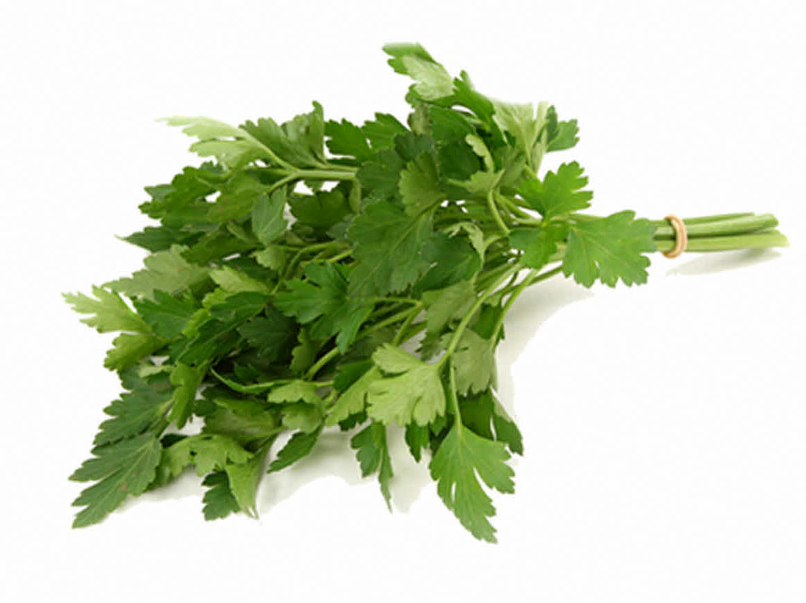 Parsley Seeds, Italian Giant Flat Leaf, Heirloom Herbs, Non-Gmo Spice, 100ct