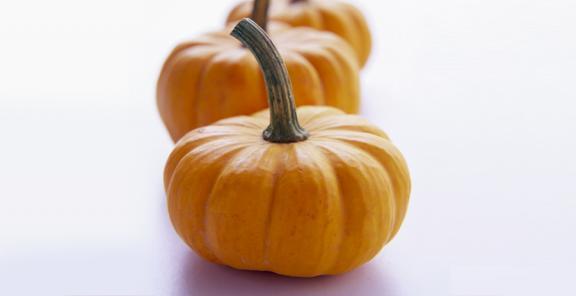 Jack Be Little Pumpkin Seeds (6-13 oz.), Cucurbita pepo