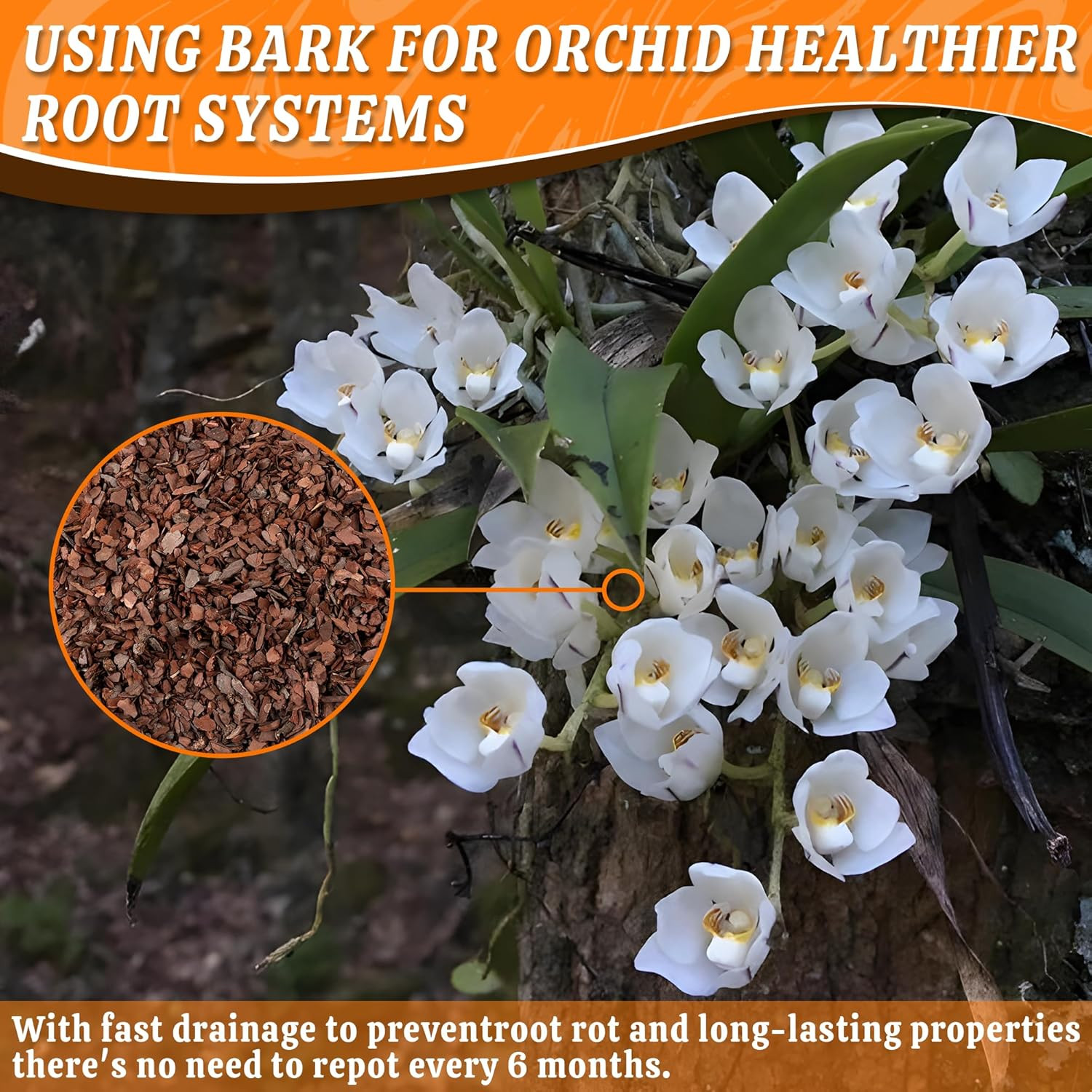 Orchid Potting Bark-3Qt Organic Orchid Bark for Plants, All Natural Pine Bark Wo
